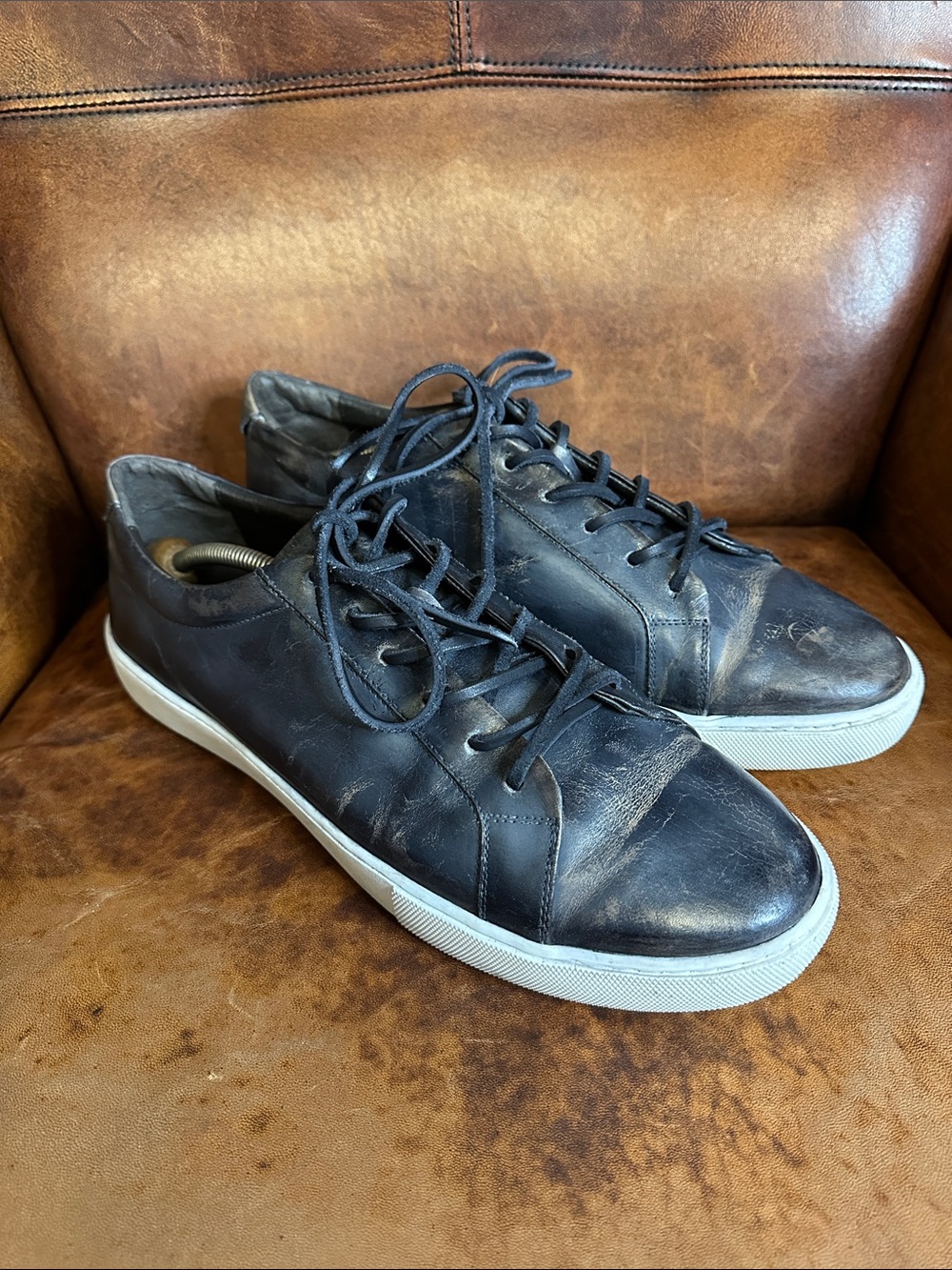 Freebird by Steven Newport Black Leather Low-Top Sneakers with White Soles
